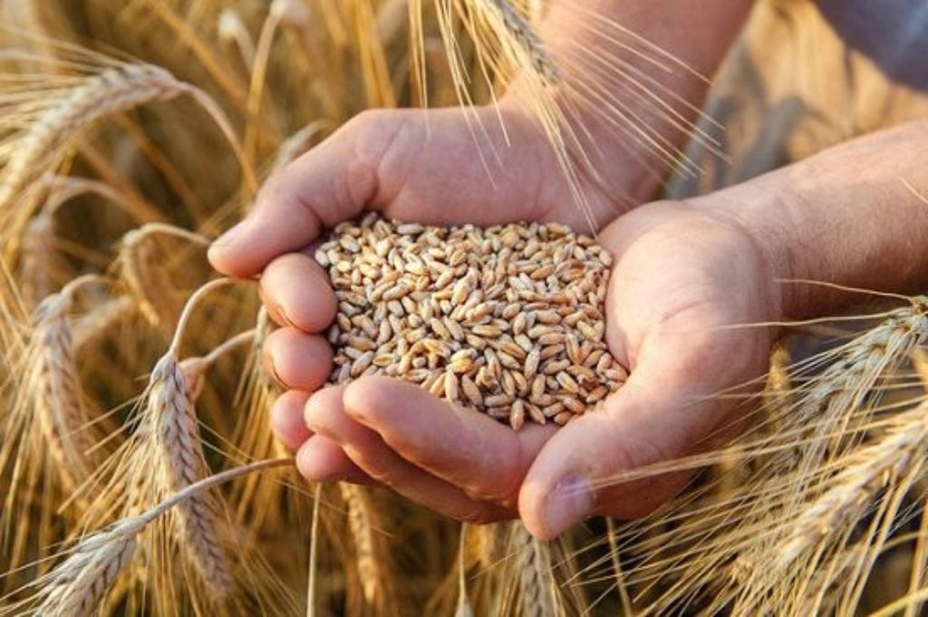 6 new trends in the agricultural and food industry